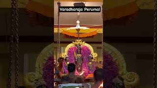 #varadharajaperumaltemple #kanchipuram #kanchi #athivaradhar #varadarajaperumal #god #utsav
