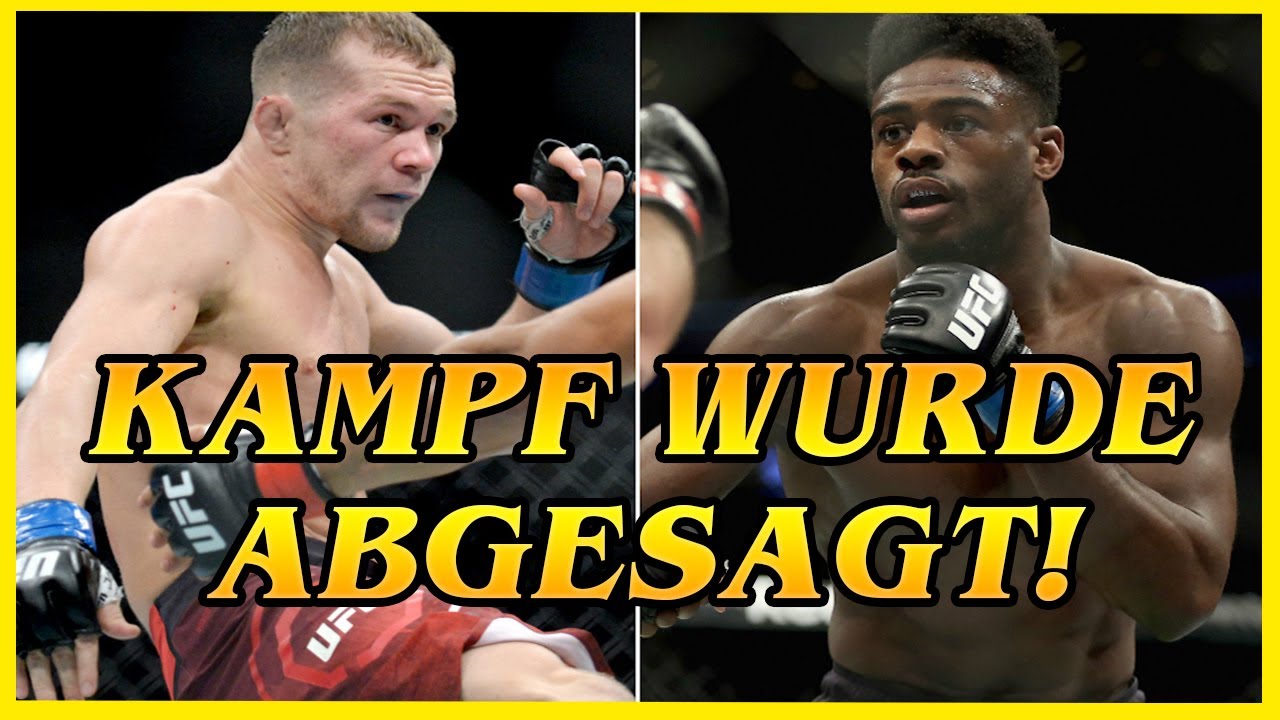 MMA NEWS 🌎 Figueiredo kämpft bei UFC 256❗ Yan vs Sterling fällt aus❗ UFC 255 Analyse🔥