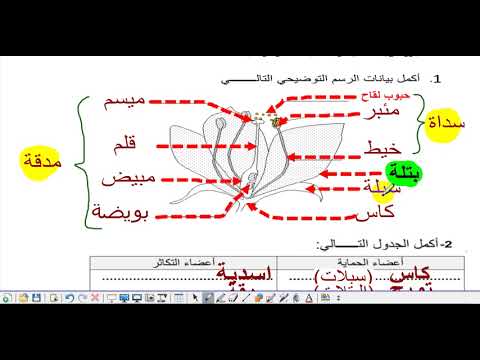  اصلاح الفرض التاليفي عدد   اساسي