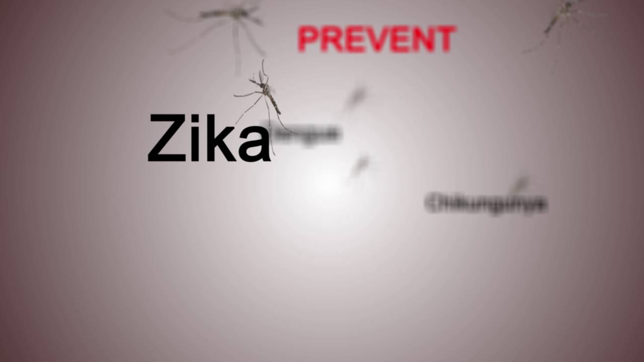 Stop the Spread of Zika PSA
