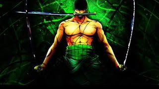 Zoro Hard Work