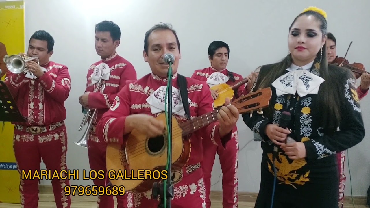 Mariachi Los Galleros - EL COLOR DE TUS OJOS (Cover)
