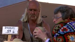 Teach You How To Choose The Mature Hami Melon