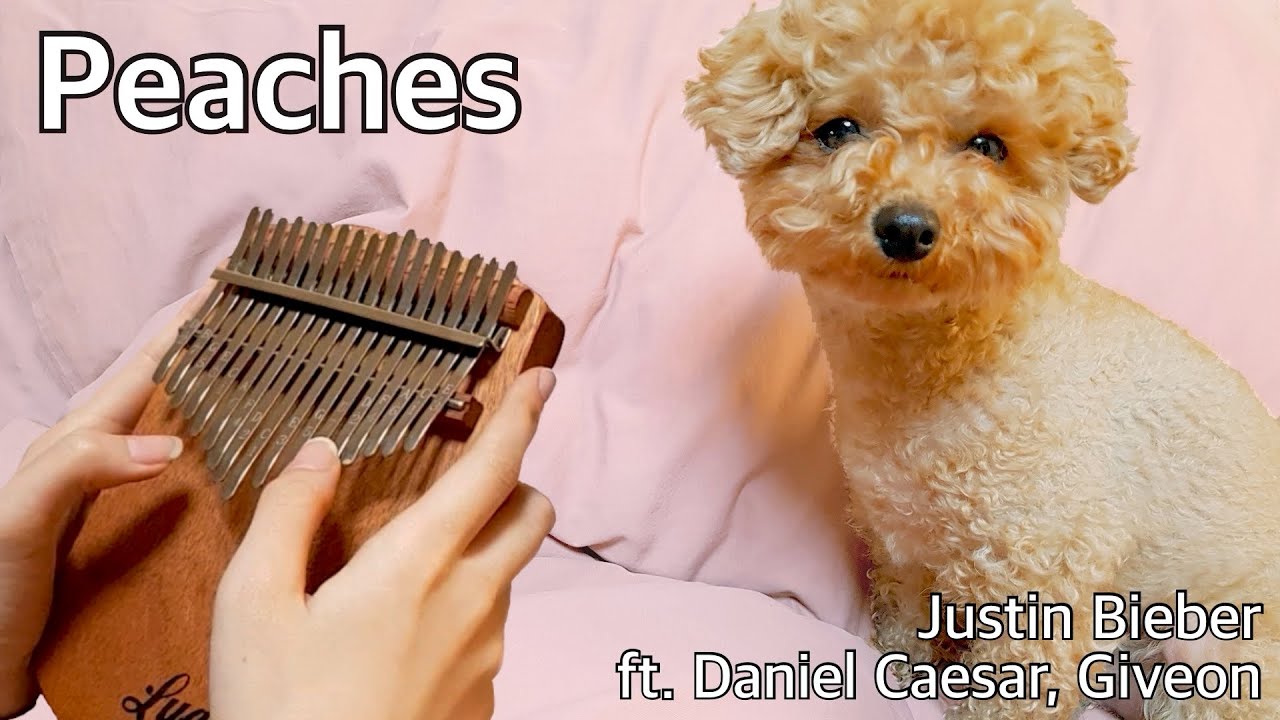 Justin Bieber - Peaches (Lyrics) ft. Daniel Caesar, Giveon, Free Music