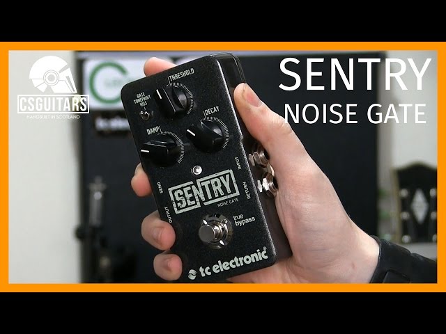 Sentry Noise Gate TC Electronic: Gear Review - YouTube