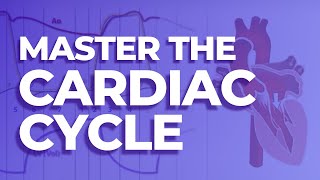 Wiggers Diagram of the Cardiac Cycle | MedStudy's Heart Sounds