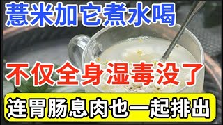 薏米加它一起煮水喝不仅能去除全身湿毒还能消除胃肠息肉保护肠道健康癌症不敢再来【健康之路】