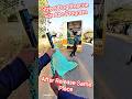 Morning Time Dog Release Same Place #dog #release #streetdogrescue #morning #ytviral #pets #shorts