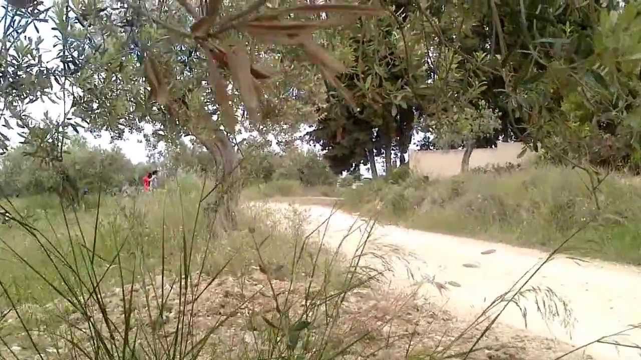 Latvala agios nikolaos athikia