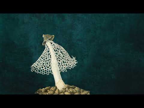 Hydrogen Sea - Indigo World (Lyric Video)