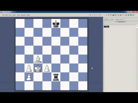 Curso de Xadrez 1.7 Empate e Regras Práticas 