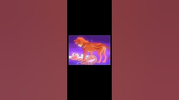Firestar x Sandstorm💞    // Warrior Cats Edit // #warriorcats #firestar #edit