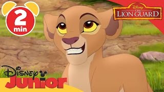 The Trail to Udugu - The Lion Guard