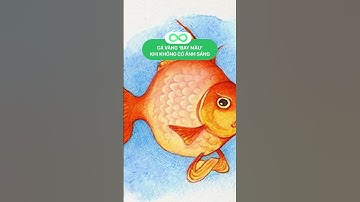 IQ Vô cực mới biết những điều này (P1)