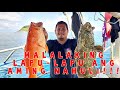Vlog 035 Catching Groupers in Capiz/ Malaking Suno at Lapu-Lapu ang aming nahuli sa Kitang/Long Line