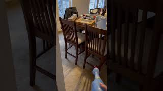 A Doggo Who Is Scared Of A Rubber Chicken
