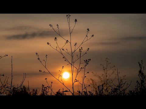 Ahmet Turan Şan - Sevmiş Bulundum (Kâr Etmez Ahım)