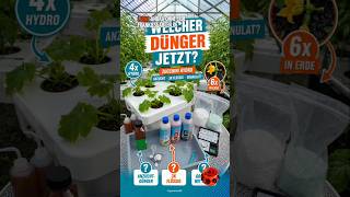 Flüssigdünger oder Granulat mit Feinwaage?🌱Bei meiner Zucchini geht es jetzt um die richtige Düngung