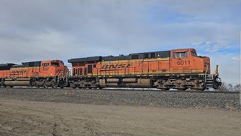 Elephant Style Coal Train BNSF 6011 Leader!