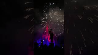 Fourth of July fireworks at Walt Disney world #fireworks #4thofjuly