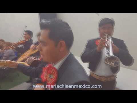 Mariachis en mexico.   La negra