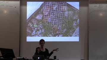 Natasha Barrett - Spatial Sonification of Performance Gestures