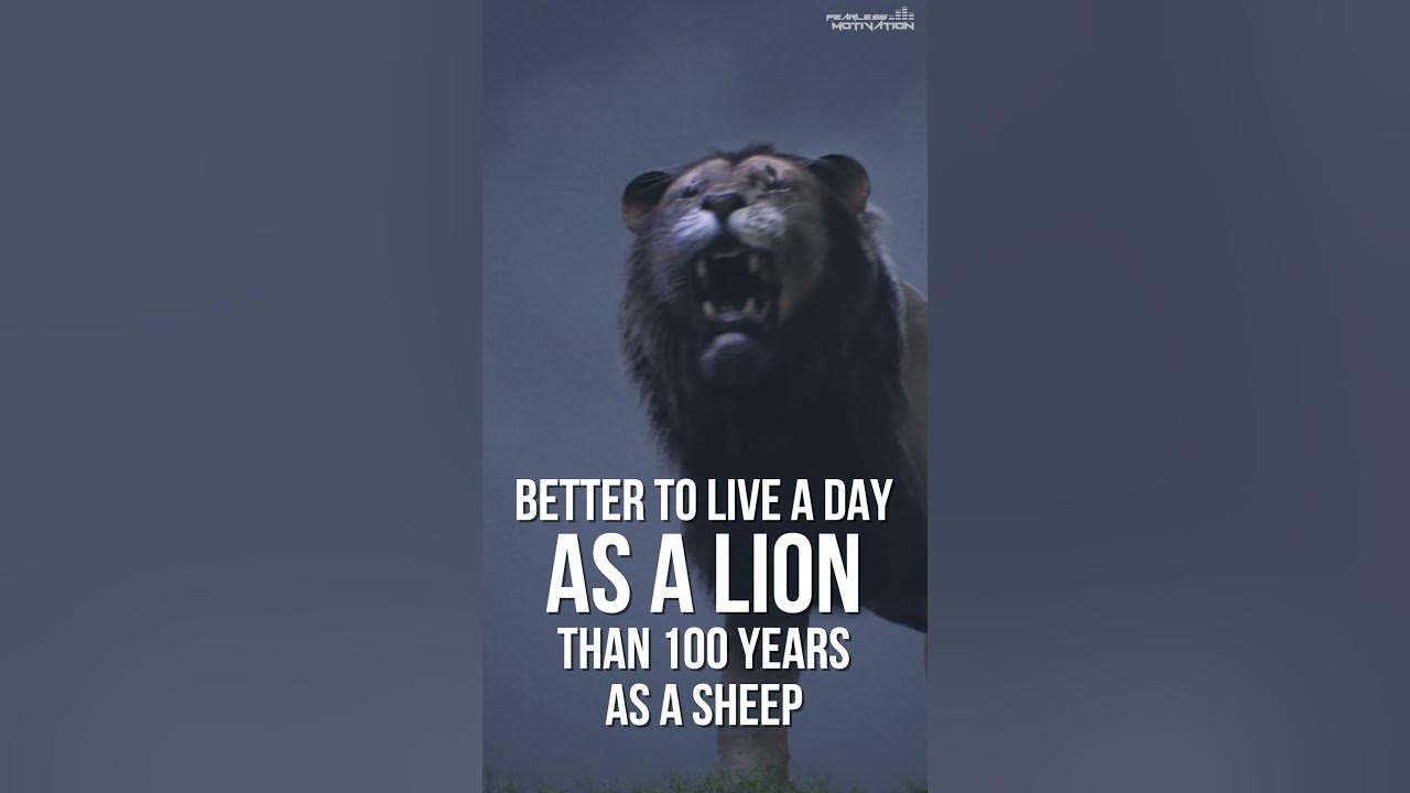 Better to spend ONE DAY as a LION than 1000 as a SHEEP! YouTube