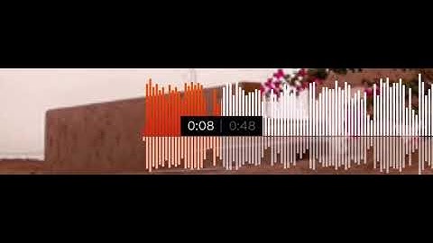 {كُلُّ مَنْ عَلَيْهَا فَانٍ...}  [سورة:الرحمن  26-28]