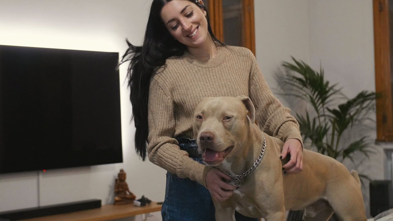 Cosa ne pensa Linda del cibo fresco per cani Real Bowl!