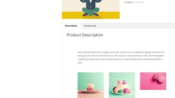How to Add the Divi Builder to Custom Post Types and Third Party Plugins   Divi Nation Short2