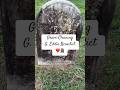 G. Eddie Benedict #gravegeeks #cemetery #grave #taphophile #gravestonecleaning #graveyard