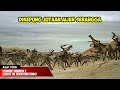 SERANGAN ALIEN SERANGGA JENIS BARU YG SUPER MEMATIKAN | ALUR CERITA FILM