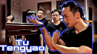 MASTER TU TENGYAO NEW WING CHUN METHODS #wingchun #ipman