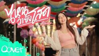 ไหนว่ายังโสด  - ฟลุ๊ค สิริมาส【 Cover Version】original :  วงทัพห้า