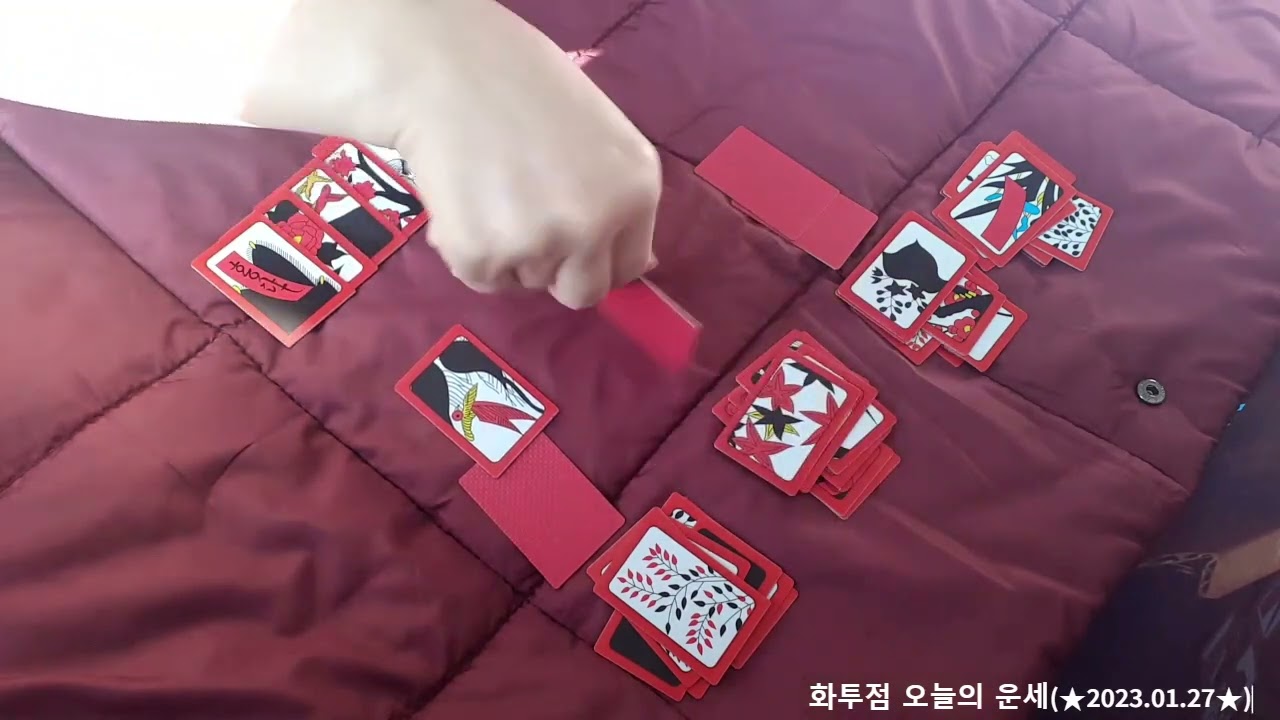 20230127 오늘의운세화투점