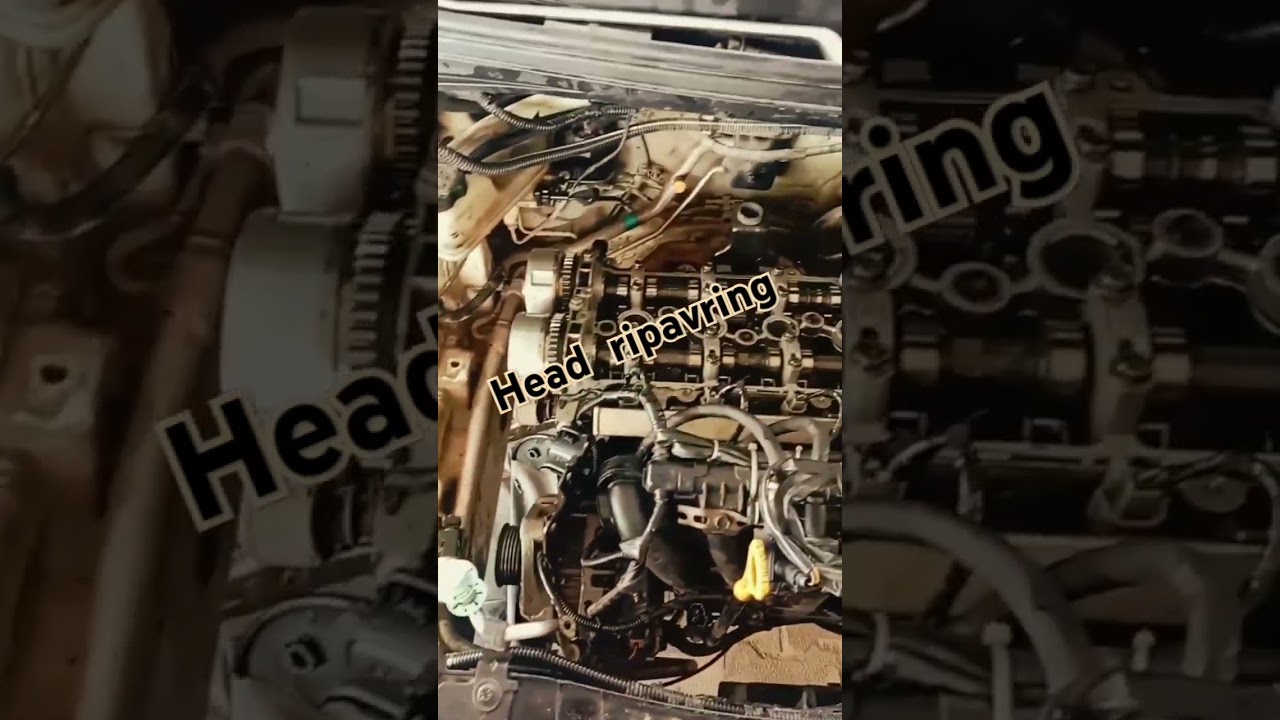 #3 i 10 grand #3 head ripavring