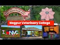 Nagpur veterinary college  nvc full campus  maharashtra veterinary college  mafsu nvc