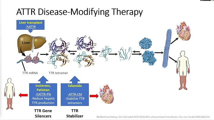 HFpEF Series Treatments