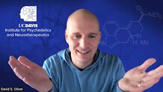 Addiction & Psychiatric Treatment: Non-Hallucinogenic Psychedelic Analog with Therapeutic Potential
