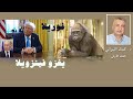 غوريلا  يغزو فنزويلا