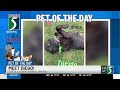 TV5 Pet of the Day: Meet Diego!
