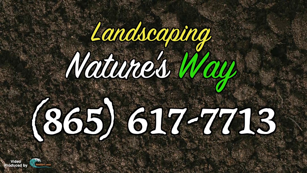 Best Landscaping Company in Knoxville, TN 8656177713 YouTube