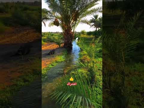 اكسبلور المصحف القرآن الكريم