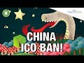 China BANS �� all ICOs?? / EOS Dapps To Provide Free Cloud ☁ Hosting via ...