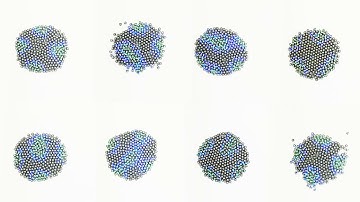 Morphogenesis in robot swarms
