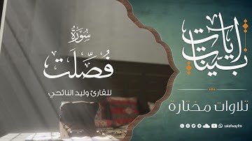 سورة فصلت - تلاوة للقارئ وليد النائحي