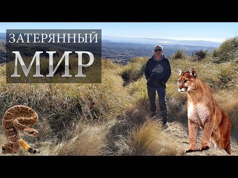 КОНДОР обитает в Национальном парке Кебрада дэль Кондорито 🦅 АРГЕНТИНА ЮЖНАЯ АМЕРИКА