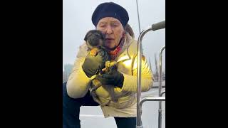 Thumbnail for Grandma’s Epic Rescue: From Drink-Throwing to Dog-Saving Finale!