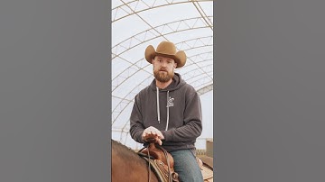 The best horse info is on reiningmasterclass.com ! #horses #reining #shorts