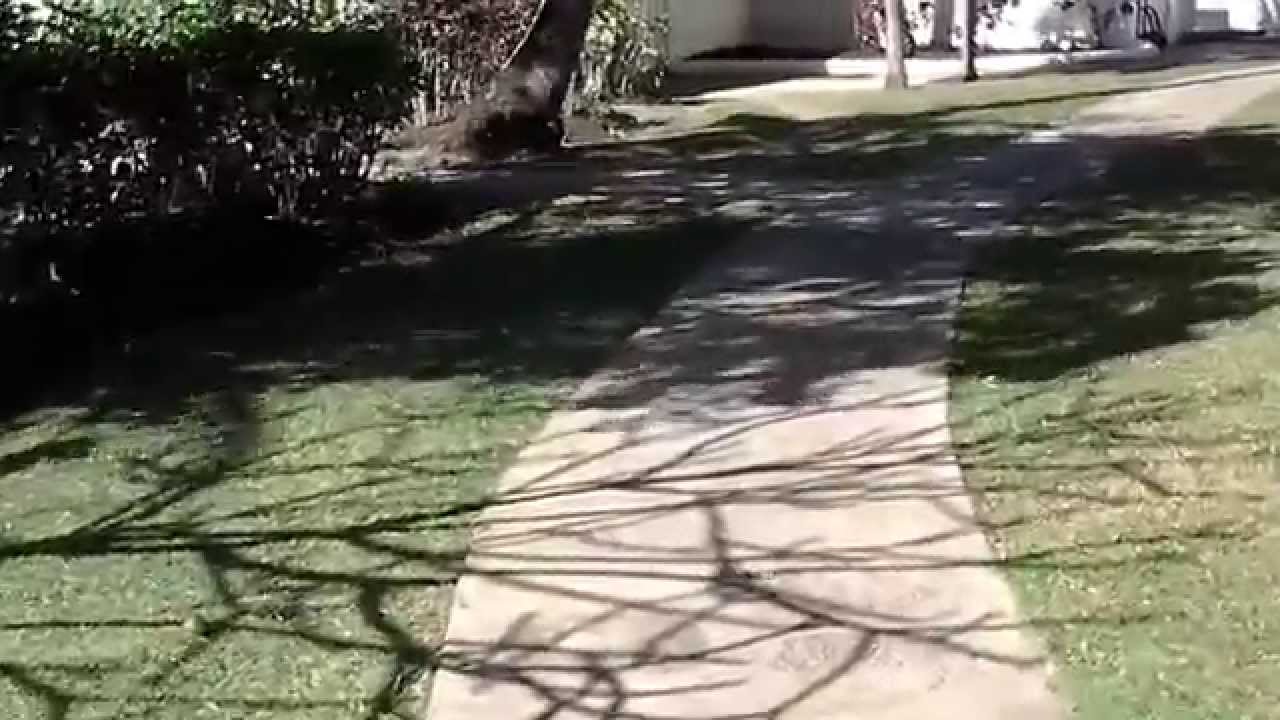 Almond Beach Resort tour Barbados